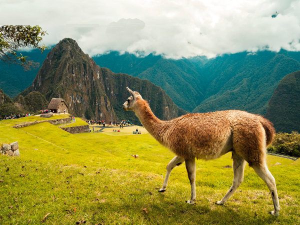 Perú